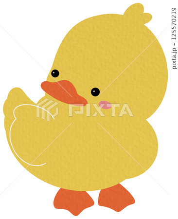 Cute Animal Duck characters. Hand drawn farm animal cartoon design of yellow duck, duckling, chick in different pose. Adorable baby duck illustration for sticker, clipart, education. Cute Animal Duck characters. Hand drawn farm animal cartoon design of yellow duck, duckling, chick in different pose. Adorable baby duck illustration for sticker, clipart, education. 125570219