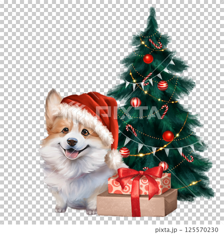 Illustration of corgi dog wearing a Santa hat, sitting next to a decorated Christmas tree with a present, capturing the joy of the holiday season 125570230
