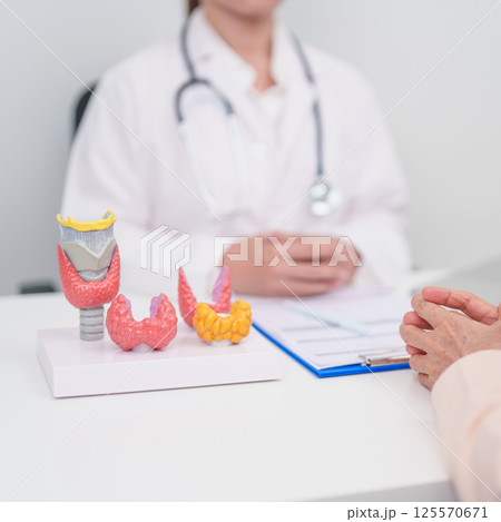 Elderly Patient consulting and Diagnosis with Doctor to Thyroid disease. Anatomy Thyroid model for Hyperthyroidism, Hypothyroidism, Hashimoto Thyroiditis, Thyroid Tumor and Cancer, Papillary Carcinoma Elderly Patient consulting and Diagnosis with Doctor to Thyroid disease. Anatomy Thyroid model for Hyperthyroidism, Hypothyroidism, Hashimoto Thyroiditis, Thyroid Tumor and Cancer, Papillary Carcinoma 125570671