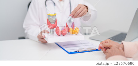 Elderly Patient consulting and Diagnosis with Doctor to Thyroid disease. Anatomy Thyroid model for Hyperthyroidism, Hypothyroidism, Hashimoto Thyroiditis, Thyroid Tumor and Cancer, Papillary Carcinoma Elderly Patient consulting and Diagnosis with Doctor to Thyroid disease. Anatomy Thyroid model for Hyperthyroidism, Hypothyroidism, Hashimoto Thyroiditis, Thyroid Tumor and Cancer, Papillary Carcinoma 125570690