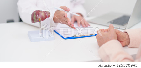 Doctor with human Liver anatomy. Elderly Patient consultation medical health for Liver cancer and Tumor, Jaundice, Viral Hepatitis, Cirrhosis, Failure, Enlarged, Hepatic Encephalopathy, Ascites Fluid Doctor with human Liver anatomy. Elderly Patient consultation medical health for Liver cancer and Tumor, Jaundice, Viral Hepatitis, Cirrhosis, Failure, Enlarged, Hepatic Encephalopathy, Ascites Fluid 125570945