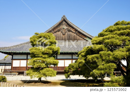 二条城本丸御殿場の眺め 125571002