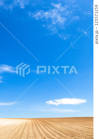 爽やかな青空と雲と広大な畑のあるシンプルな北海道美瑛町の風景 125571259