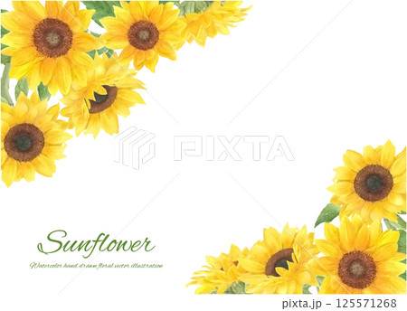 水彩で描いたひまわりのベクター装飾フレーム 125571268