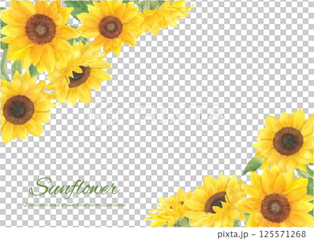 水彩で描いたひまわりのベクター装飾フレーム 125571268