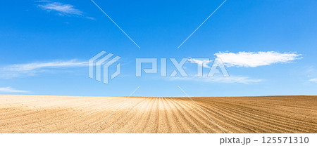 爽やかな青空と雲と広大な畑のあるシンプルな北海道美瑛町の風景 125571310