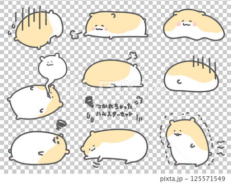 いろんなポーズの疲れたゴールデンハムスターのセット 125571549