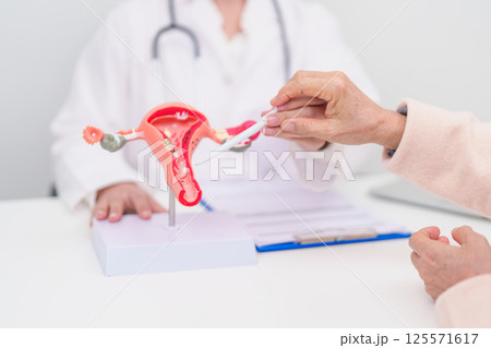 Woman patient consulting doctor with anatomy Uterus and Ovaries. Ovarian and Cervical cancer, Cervix disorder, Endometriosis, Hysterectomy, Uterine fibroids, Reproductive system and Pregnancy concept 125571617