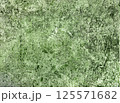 Grunge green textured background with a natural rough surface and organic cracks. Perfect for eco designs, creative projects, packaging, branding, scrapbooking 125571682