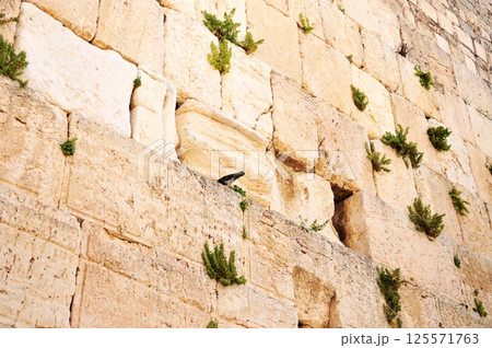 The partial of west wall in Jerusalem, Israel 125571763