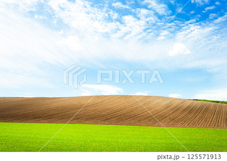 青空と雲と北海道美瑛町にある広大な畑のシンプルな風景 青空と雲と北海道美瑛町にある広大な畑のシンプルな風景 125571913