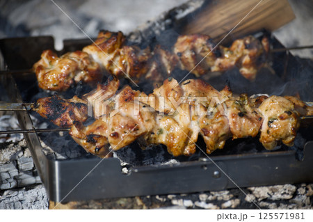 Delicious pork skewers are grilling over an open fire, ready to be enjoyed at a summer barbecue. 125571981