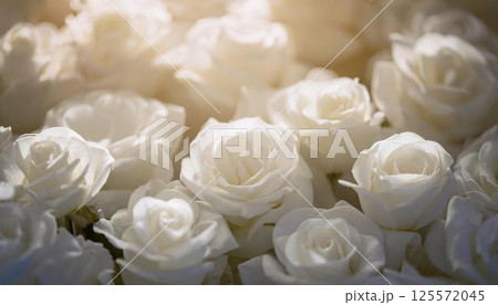 純白に輝く美しいバラの花束1 125572045