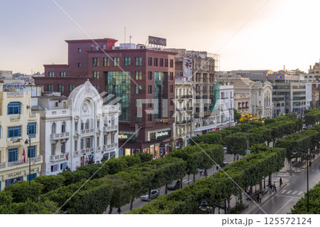 チュニジア・チュニス新市街 ハビブ・ブルギバ通り / Tunis, Tunisia チュニジア・チュニス新市街 ハビブ・ブルギバ通り / Tunis, Tunisia 125572124