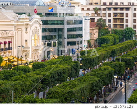 チュニジア・チュニス新市街 ハビブ・ブルギバ通り / Tunis, Tunisia 125572128
