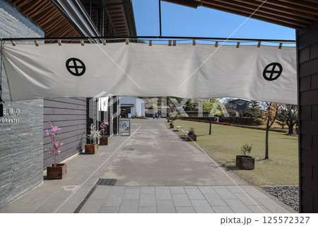 March 23 2025 Serene Garden View Framed By a Traditional Fabric Screen March 23 2025 Serene Garden View Framed By a Traditional Fabric Screen 125572327