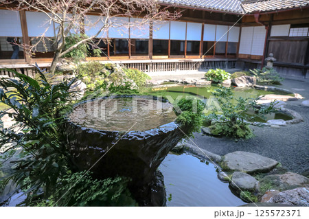 March 23 2025 Serene Japanese Garden with Green Pond and Traditional 125572371