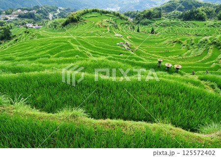photo of rural terraced fields, China, Zhejiang Province 125572402