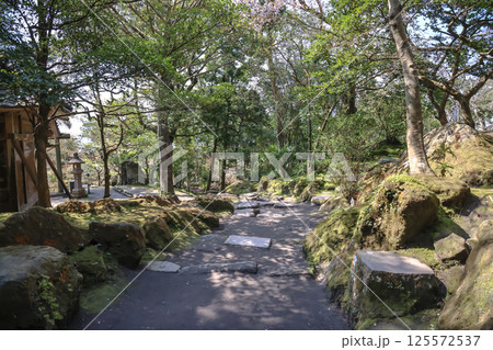 March 23 2025 Traditional Japanese Stone Steps in a Serene Garden Setting with Trees, Japan 125572537