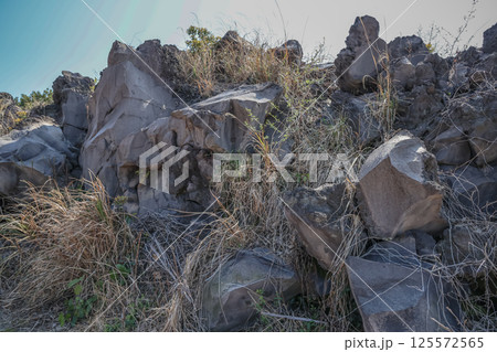 March 23 2025 Rocky Terrain with Sparse Vegetation and Rugged Natural Features, Japan 125572565