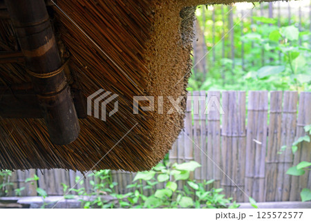 四国村江戸時代後期の農家の茅葺き屋根つくだれ 125572577