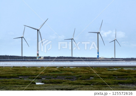 愛し台湾（高美湿地は火力発電所の計画があったが反対により湿地は守られ、後に風力発電を建設。）台中市 125572616