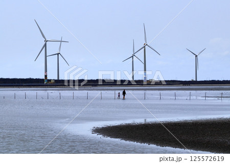愛し台湾（「高美湿地」日本統治時代、海水浴場にて開放。後に堤防が築かれ砂の沈殿で干潟となった。）台中 125572619