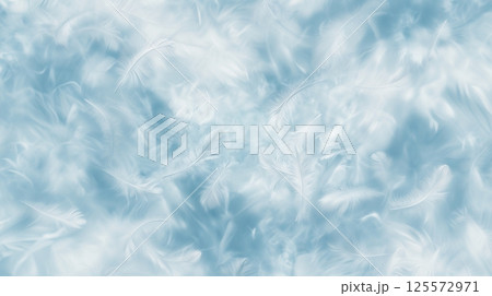 水色の羽のイメージ 125572971