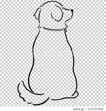 黃金獵犬的後視圖黑色和白色 黃金獵犬的後視圖黑色和白色 125572988