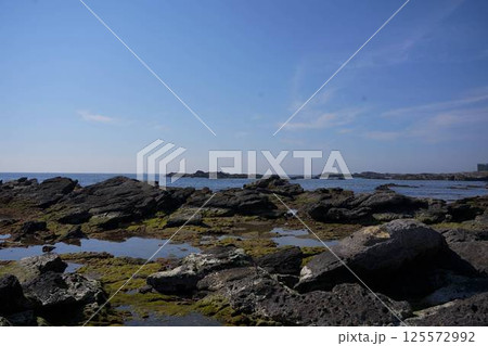 三浦半島　ウミウ展望台 125572992