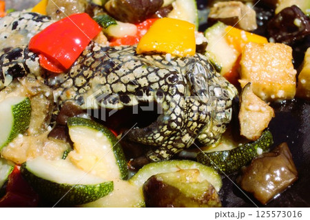 ワニの手料理 ワニの手料理 125573016