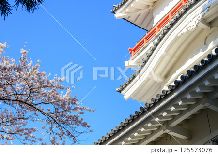 御隅櫓と青空　千秋公園久保田城　秋田市 125573076