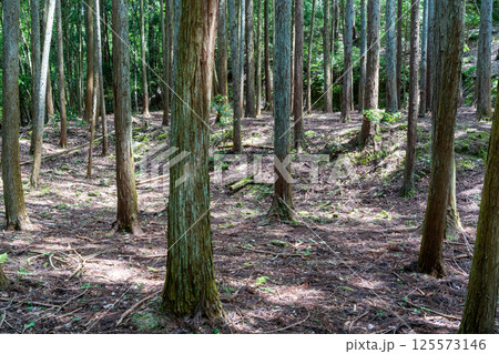 【国指定史跡】白旗城 栖雲寺跡 兵庫県赤穂郡上郡町 【国指定史跡】白旗城 栖雲寺跡 兵庫県赤穂郡上郡町 125573146