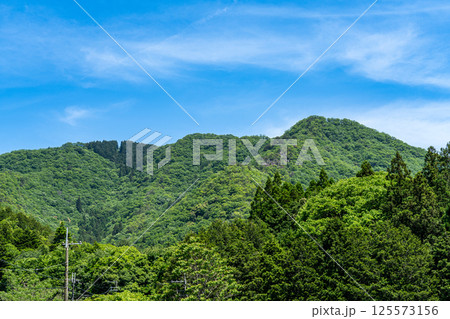 【国指定史跡】白旗城　山麓から見た白旗山1　兵庫県赤穂郡上郡町 125573156
