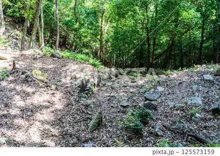【国指定史跡】感状山城　大手門跡　兵庫県相生市 125573159