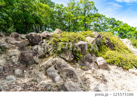 【国指定史跡】感状山城　I曲輪の石垣1　兵庫県相生市 125573166