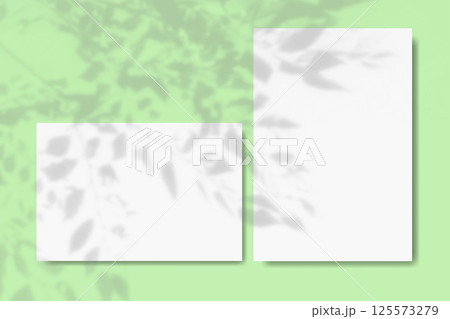 Natural light casts shadows from wildflowers of horizontal and vertical sheets of white textured paper against a green wall background. Mock up with an overlay of plant shadows. Natural light casts shadows from wildflowers of horizontal and vertical sheets of white textured paper against a green wall background. Mock up with an overlay of plant shadows. 125573279