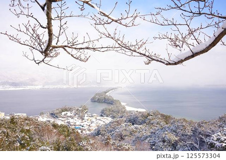 冬の天橋立 125573304