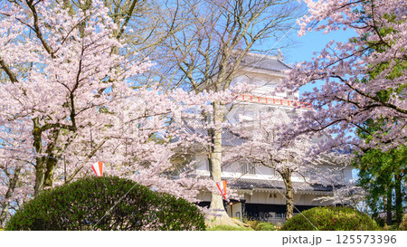 清々しい朝を迎えた春の千秋公園　桜と御隅櫓　秋田市 125573396