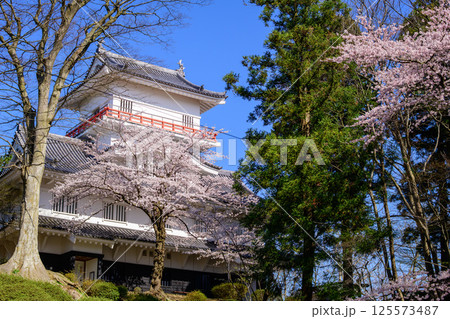 清々しい朝を迎えた春の千秋公園 桜と御隅櫓 秋田市 清々しい朝を迎えた春の千秋公園 桜と御隅櫓 秋田市 125573487