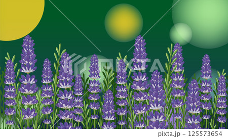 Lavender Field with Glowing Bokeh Background Lavender Field with Glowing Bokeh Background 125573654