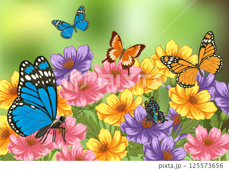 Colorful Butterflies and Flowers in Vector Illustration Colorful Butterflies and Flowers in Vector Illustration 125573656