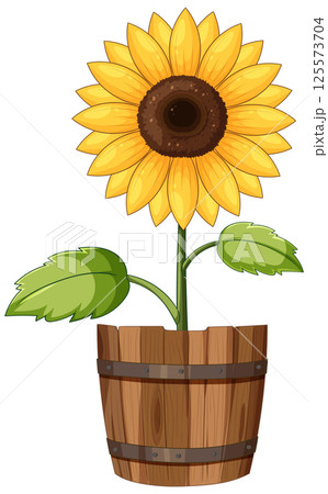 Sunflower in Wooden Pot Illustration 125573704