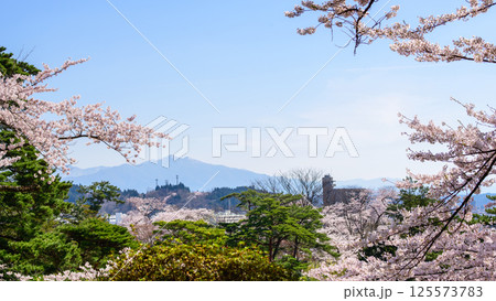 遠く太平山を望む　春の千秋公園　秋田市 125573783