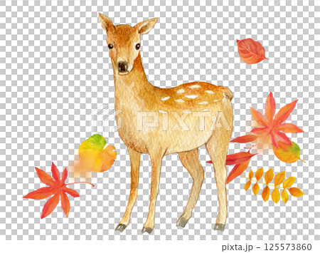 水彩插圖秋天圖像鹿和秋天的落葉 125573860