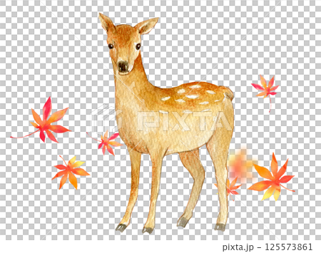 水彩插圖秋天圖像鹿和秋天的落葉 125573861