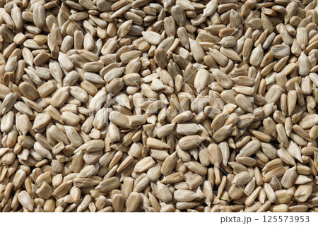 Sunflower seeds, concept of harvest, tasty snack Sunflower seeds, concept of harvest, tasty snack 125573953