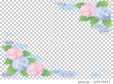 繡球花框架 125574071