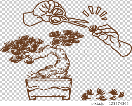 盆景葉子的切割和護理的線條畫插圖 盆景葉子的切割和護理的線條畫插圖 125574363