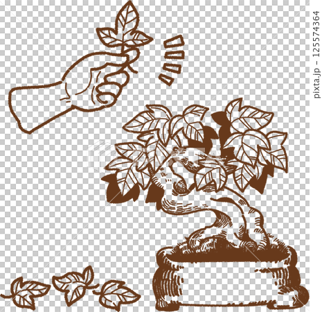 採摘樹葉和照料盆景樹的線條畫插圖 125574364